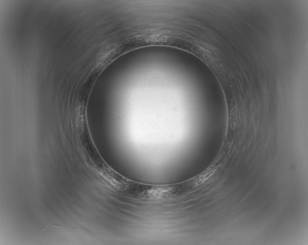 X0000055990172200509092029