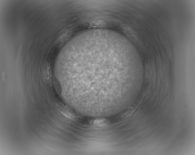 X0000055990173200509092029