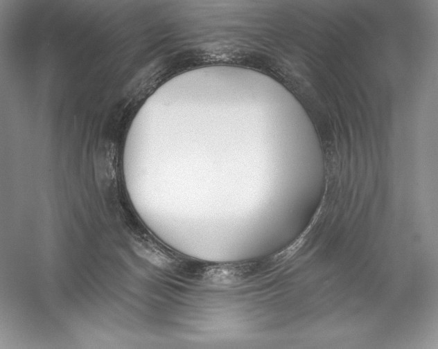 X0000055990174200509092029