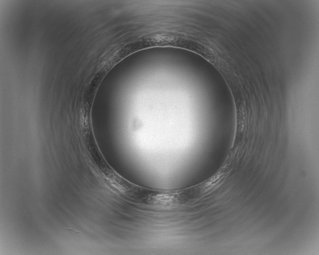 X0000055990176200509092029