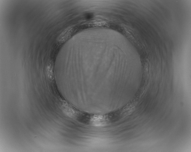 X0000055990177200509092029