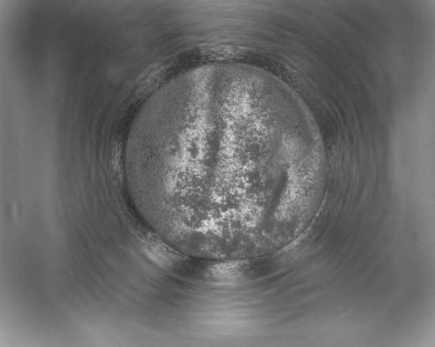 X0000055990178200509092029