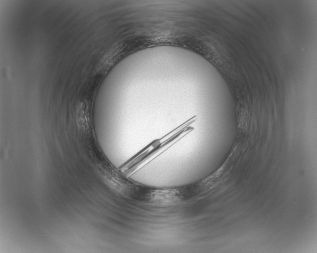 X0000055990179200509092029