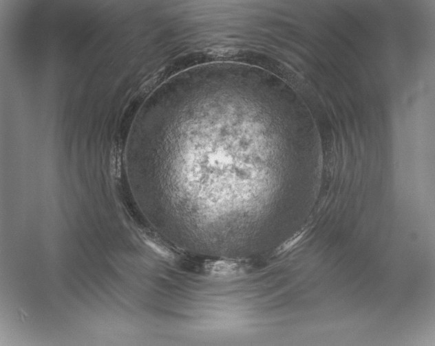 X0000055990180200509092029