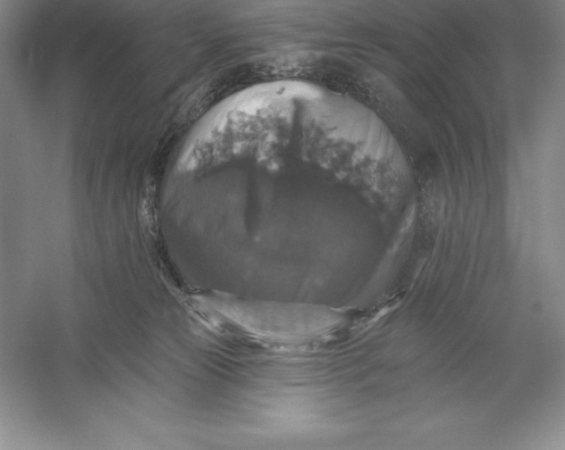 X0000055990181200509092029