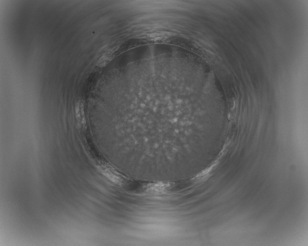 X0000055990182200509092029