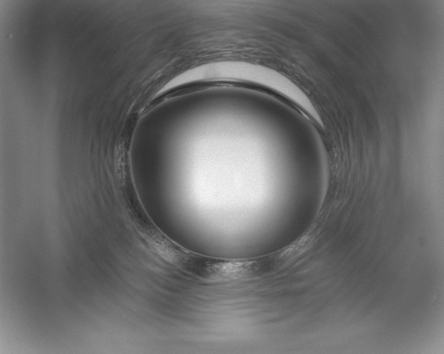 X0000055990184200509092029