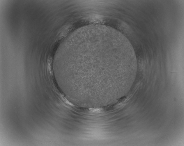 X0000055990185200509092029