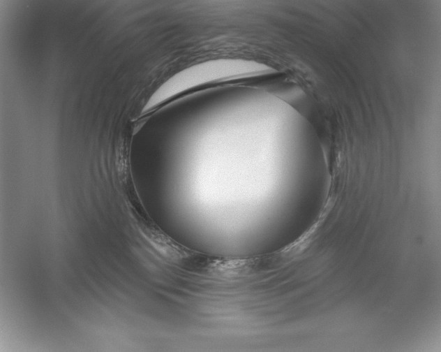 X0000055990186200509092029