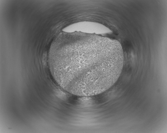 X0000055990189200509092029