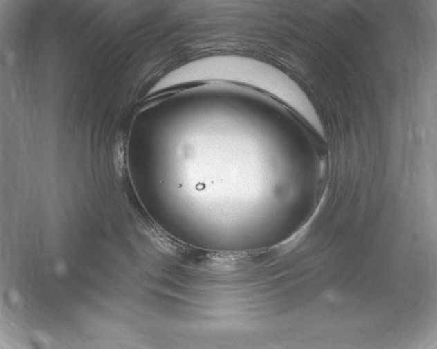 X0000055990190200509092029