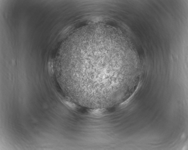 X0000055990191200509092029