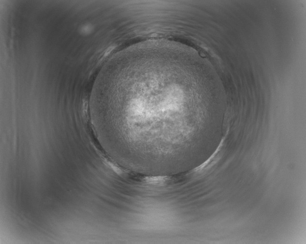 X0000055990192200509092029