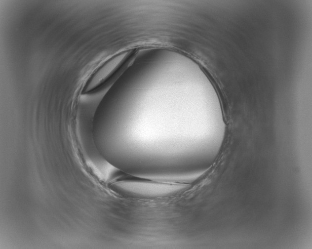 X0000055990193200509092028