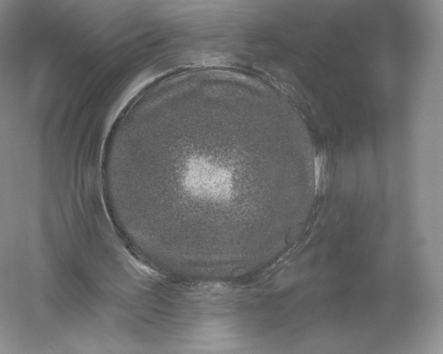 X0000055990195200509092028