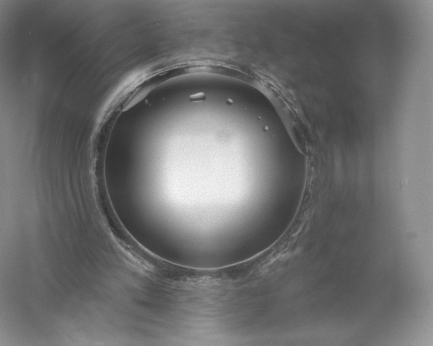 X0000055990197200509092028