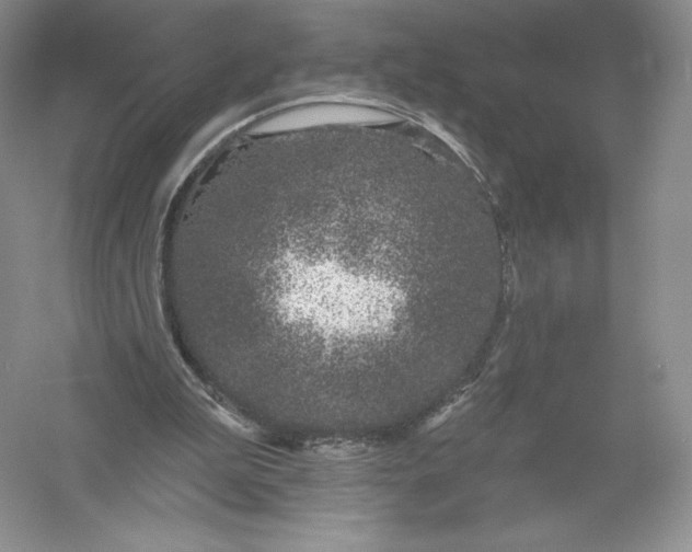 X0000055990199200509092028