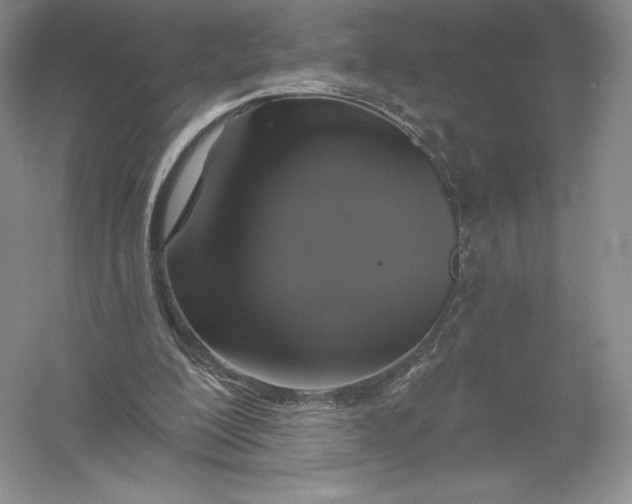 X0000055990200200509092028