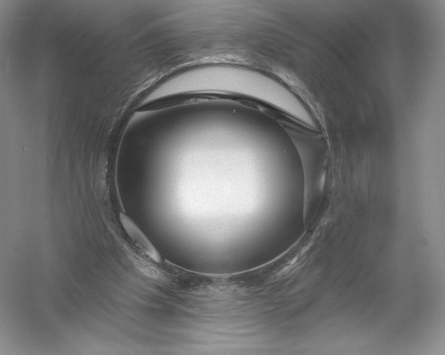 X0000055990201200509092028