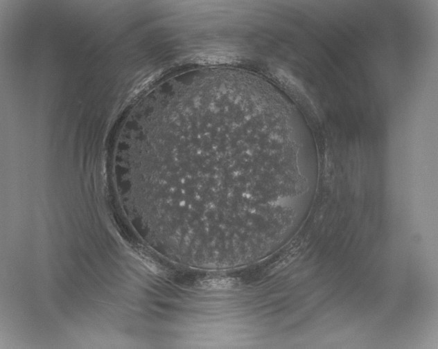 X0000055990202200509092028