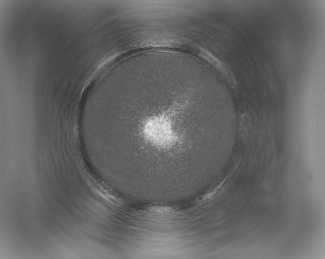 X0000055990203200509092028