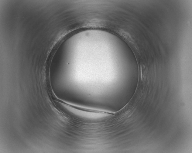 X0000055990204200509092028