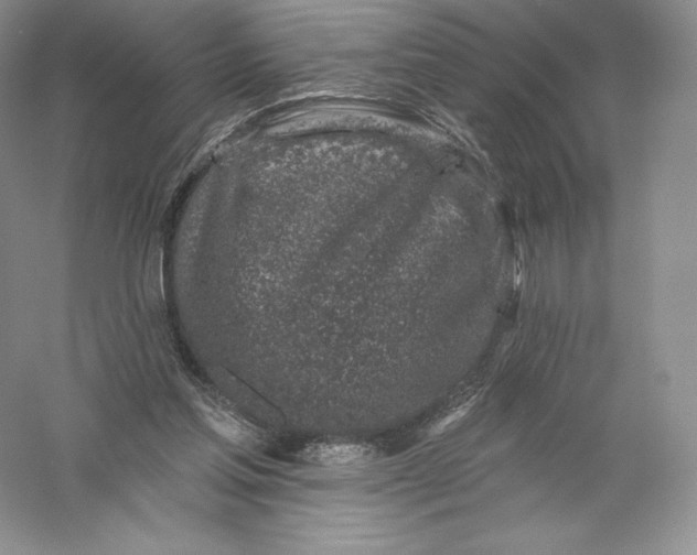 X0000055990205200509092028