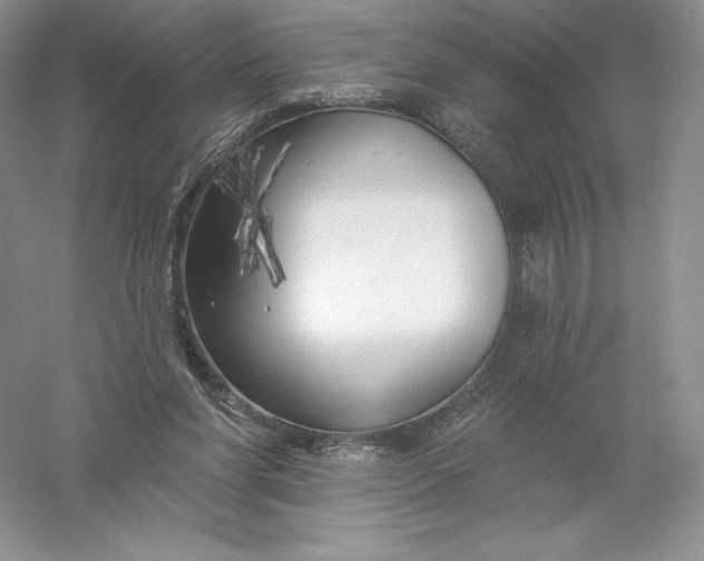 X0000055990206200509092028