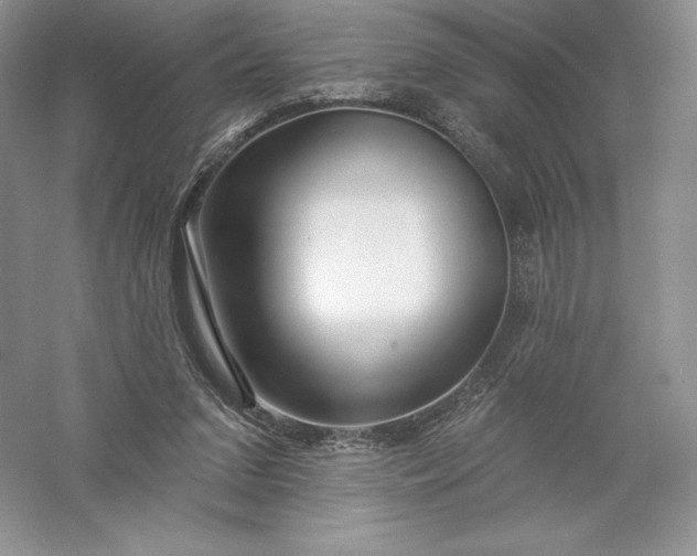 X0000055990207200509092028