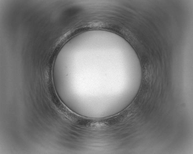 X0000055990208200509092028