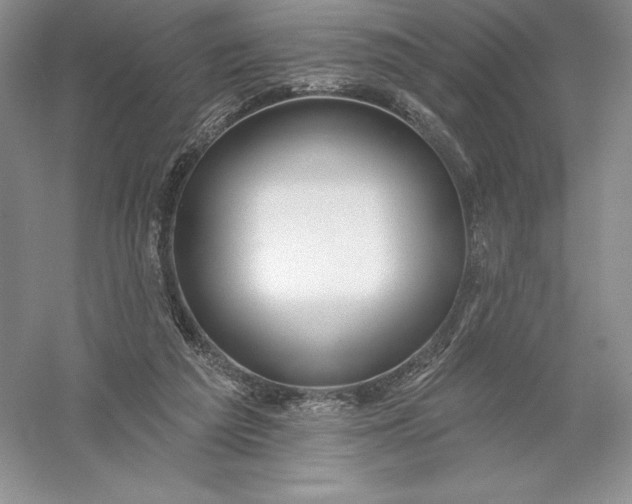 X0000055990209200509092028