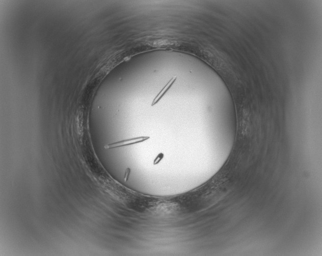 X0000055990210200509092028