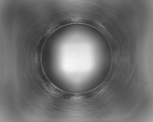 X0000055990213200509092028