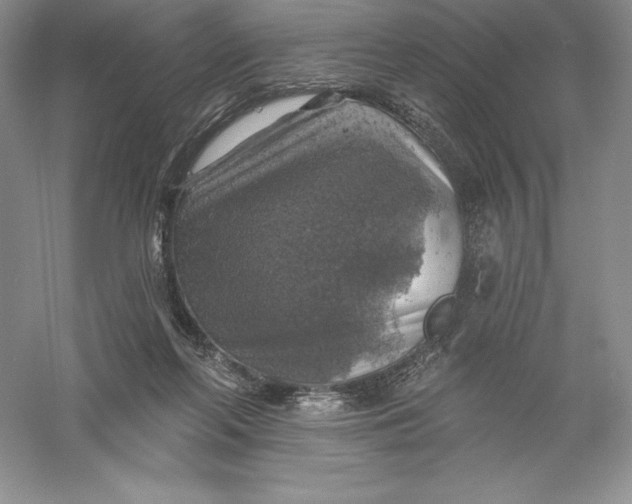 X0000055990214200509092028