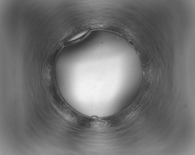 X0000055990215200509092028