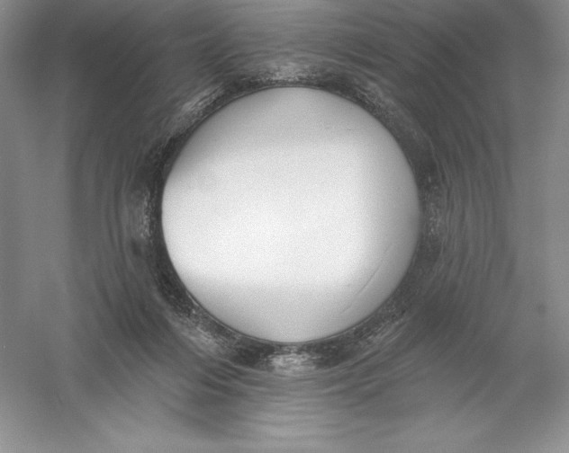 X0000055990216200509092028