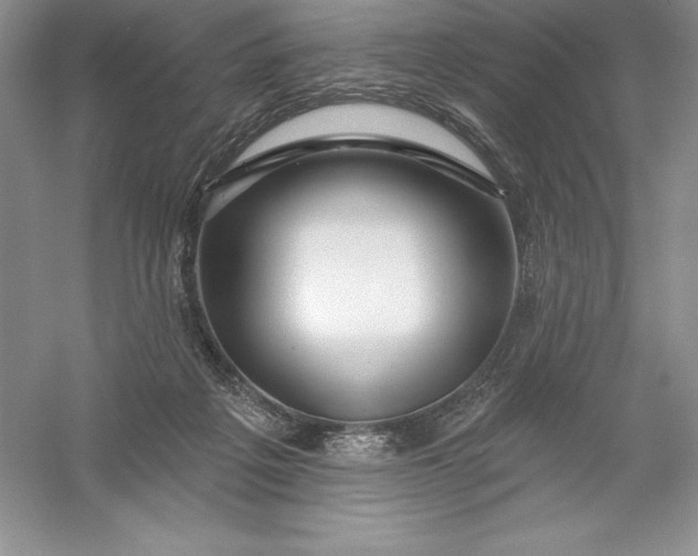 X0000055990217200509092028