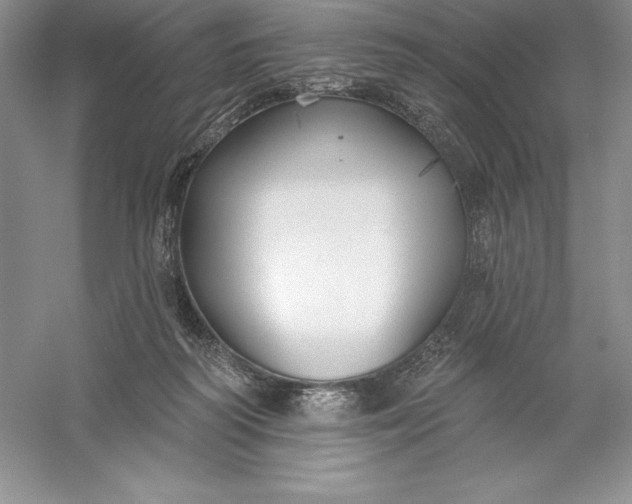 X0000055990218200509092028