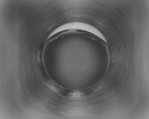 X0000055990219200509092028