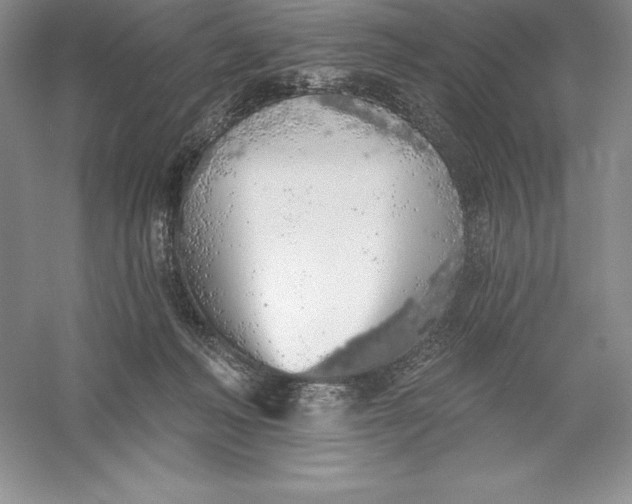 X0000055990222200509092028