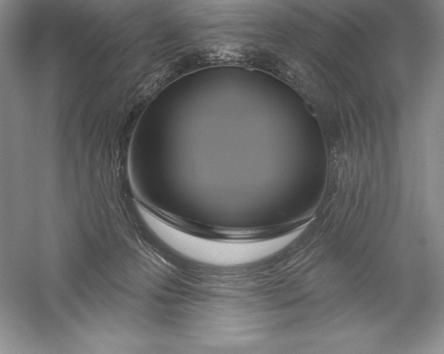 X0000055990223200509092028