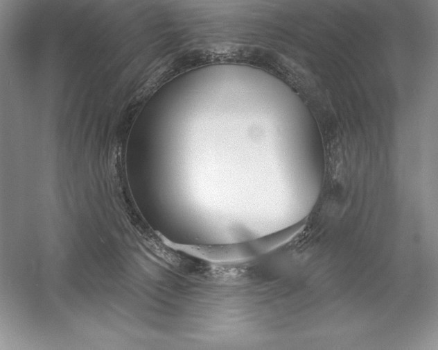 X0000055990225200509092028