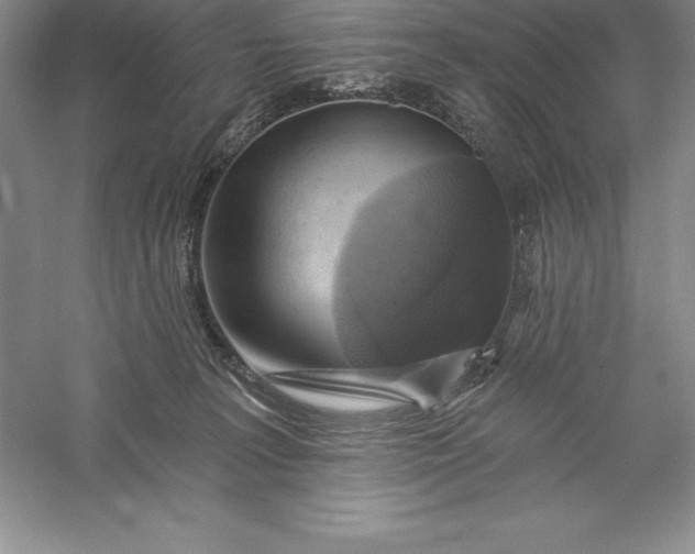 X0000055990227200509092028