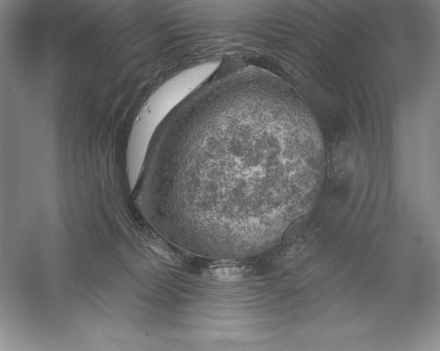 X0000055990228200509092028