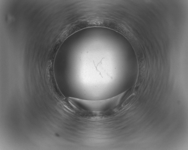 X0000055990229200509092028