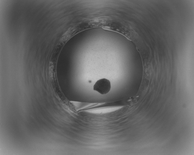 X0000055990231200509092028