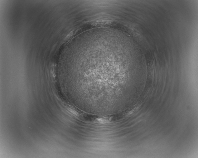 X0000055990232200509092028