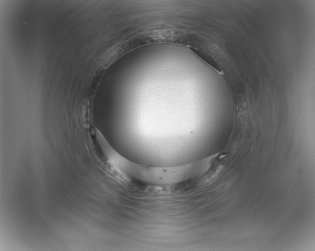 X0000055990233200509092028