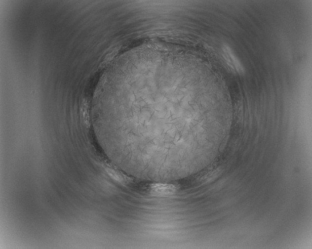 X0000055990234200509092028