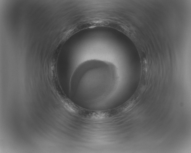 X0000055990235200509092028